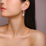 Light Luxury Long Earrings 925 Sterling Silver Moissanite